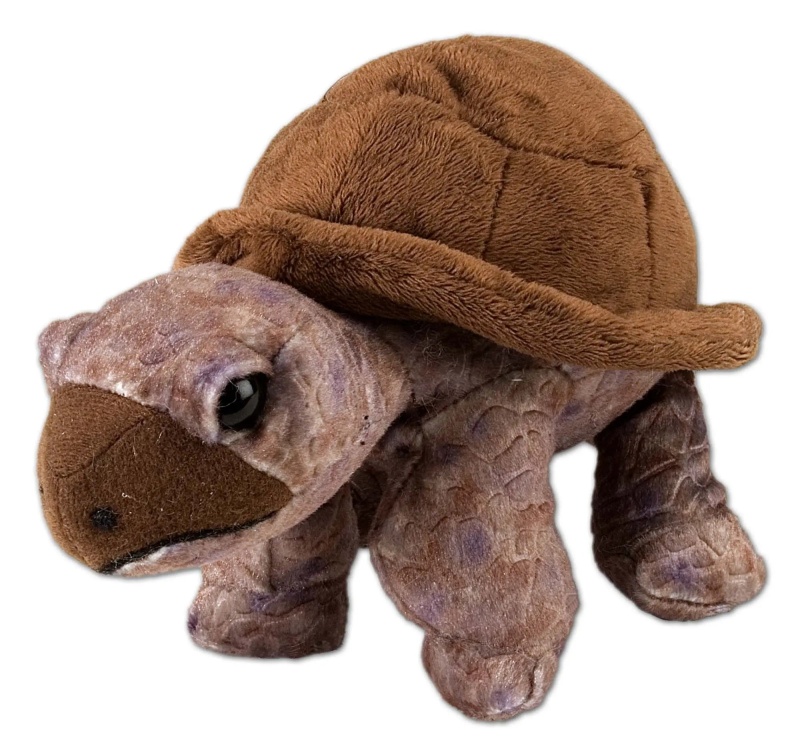 Cuddlekins Mini Tortoise Stuffed Animal - 8"