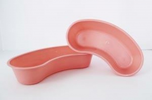 Gmax Emesis Basins GP85003