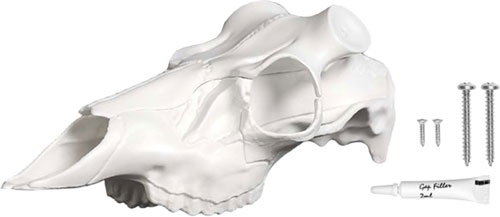 Mountain Mike's Deer Skull Kit Skull Master Large
